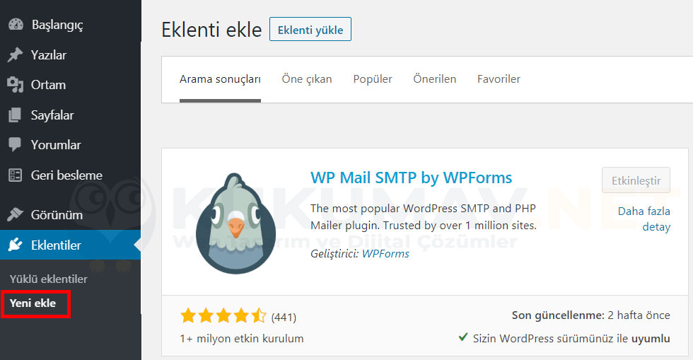 Wordpress STMP Mail Ayarları