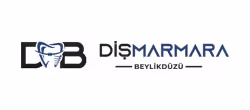 Diş Marmara — Web Tasarım, Google Ads dijital pazarlama referansı