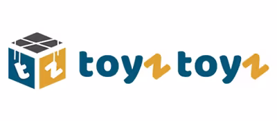 Toyz Toyz — Google Ads dijital pazarlama referansı
