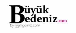 Büyük Bedeniz — Google Ads dijital pazarlama referansı