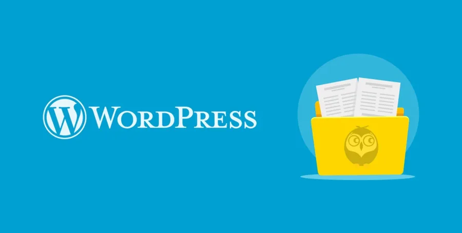 WordPress Kategori Açıklaması Gösterme